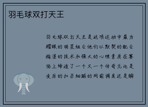 羽毛球双打天王