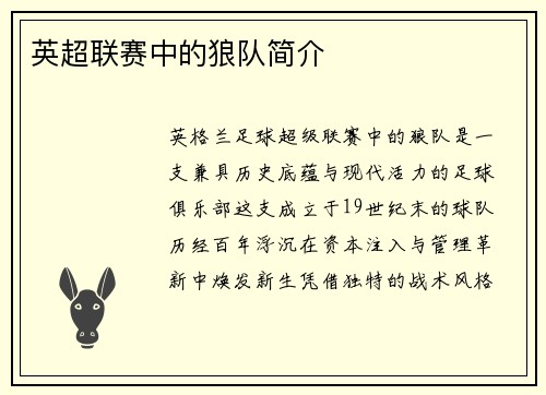 英超联赛中的狼队简介